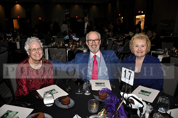 DOI2019GALA_JHP_18
