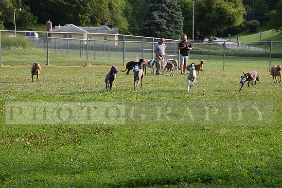 OllieWeb_2019_RHP-311