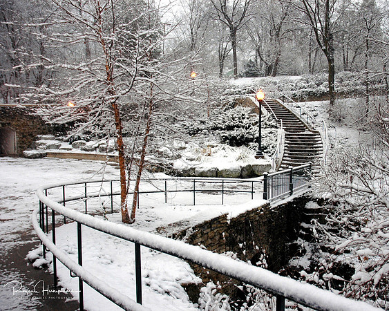 Night_Snow_Elmwood_Park_logo