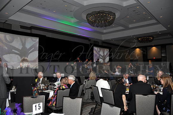 DOI2019GALA_JHP_50