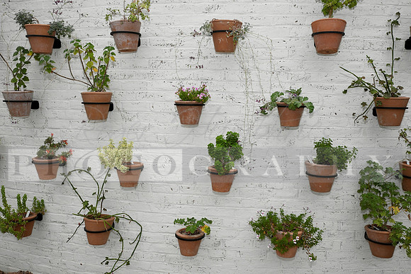 BourbonandBlooms_2026 06 25-97_RHP