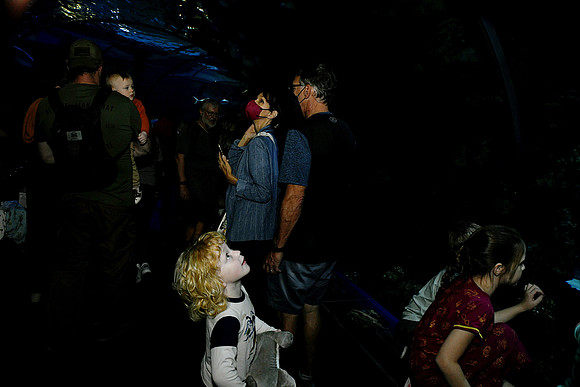 Hall.Omaha Zoo_2026 10 23-28_RHP