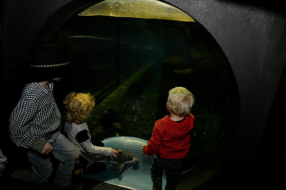 Hall.Omaha Zoo_2026 10 23-22_RHP