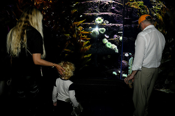 Hall.Omaha Zoo_2026 10 23-25_RHP