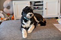 RHP_0034