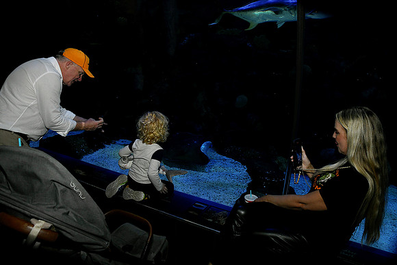 Hall.Omaha Zoo_2026 10 23-29_RHP