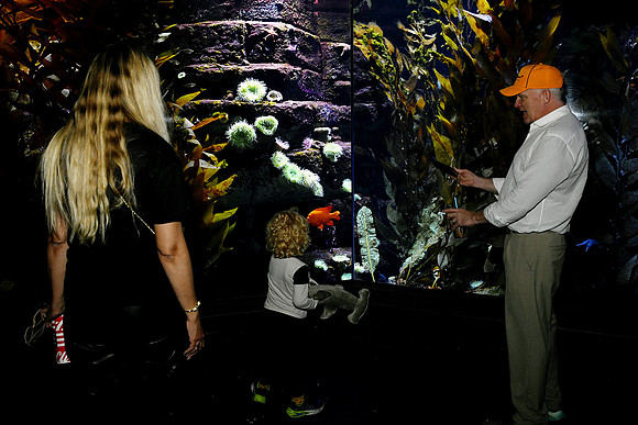Hall.Omaha Zoo_2026 10 23-24_RHP