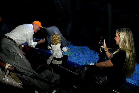 Hall.Omaha Zoo_2026 10 23-30_RHP