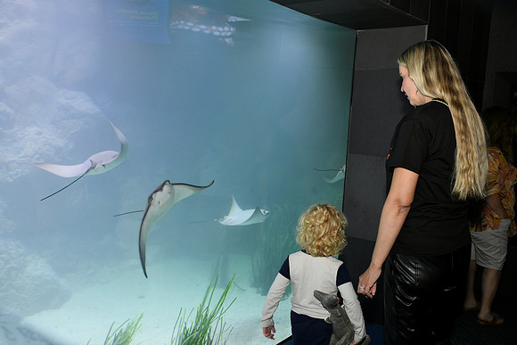 Hall.Omaha Zoo_2026 10 23-37_RHP