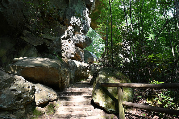 DSC_0702