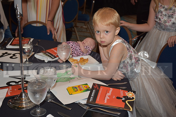 Angels_Gala_2017_RHP__0039