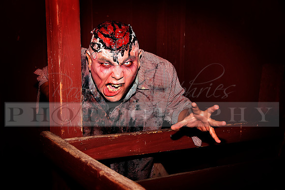Brian1