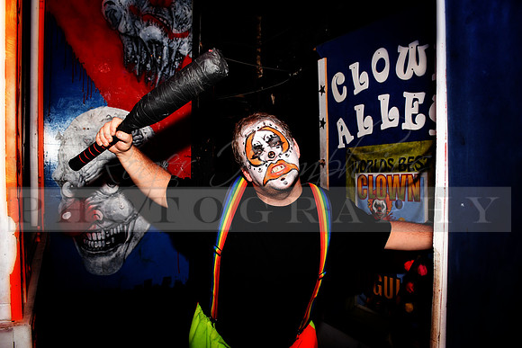 Clown Bat1