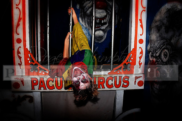 Clown