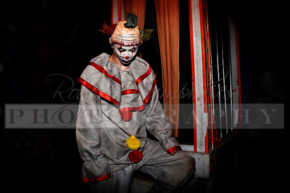 Clown_1a