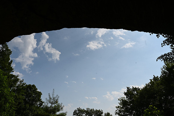 DSC_0721