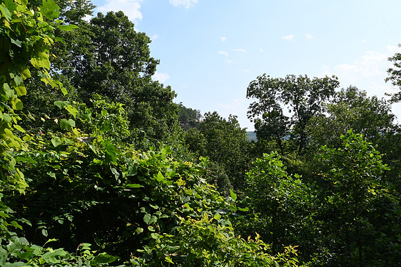 DSC_0713