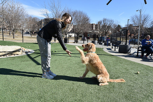 Resize_DogPark_RHPDSC_0201
