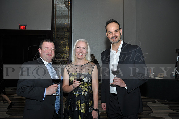 DOI2019GALA_JHP_35