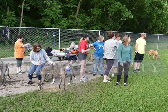 OllieWeb_2019_RHP-301