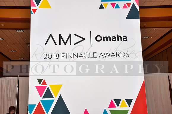 AMAPinnacleAwards_RHP_-026
