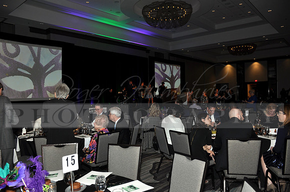 DOI2019GALA_JHP_49