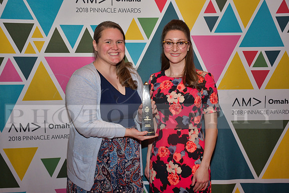 AMAPinnacleAwards_RHP_-196
