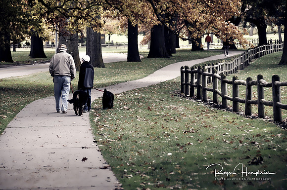 Elmwood Park_logo