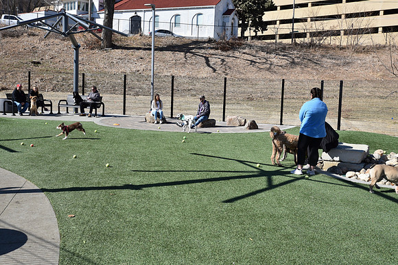 Resize_DogPark_RHPDSC_0156
