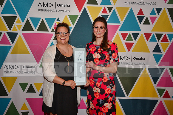 AMAPinnacleAwards_RHP_-133