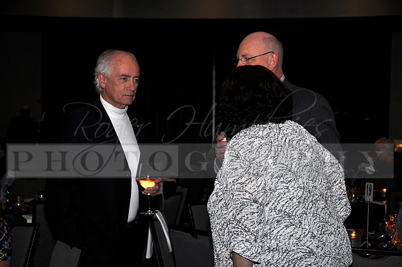 DOI2019GALA_JHP_15