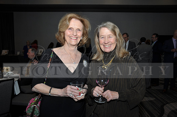 DOI2019GALA_JHP_41