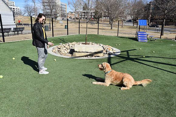 Resize_DogPark_RHPDSC_0185