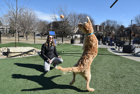 Resize_DogPark_RHPDSC_0222