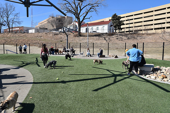 Resize_DogPark_RHPDSC_0147
