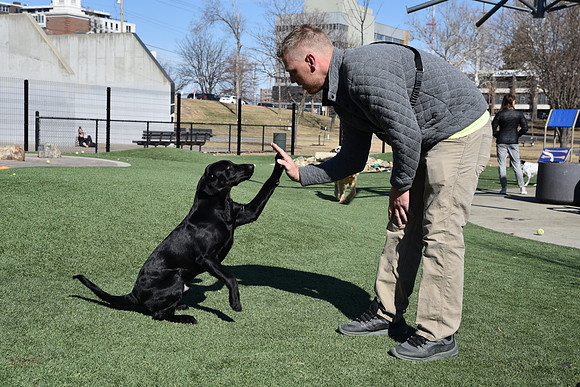 Resize_DogPark_RHPDSC_0252
