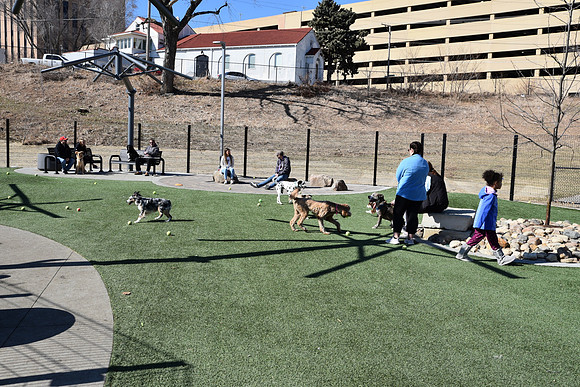 Resize_DogPark_RHPDSC_0154
