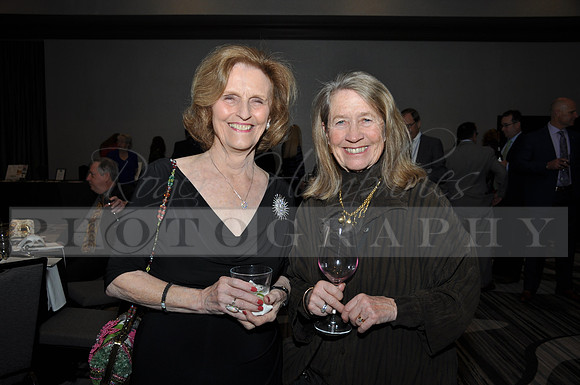 DOI2019GALA_JHP_42