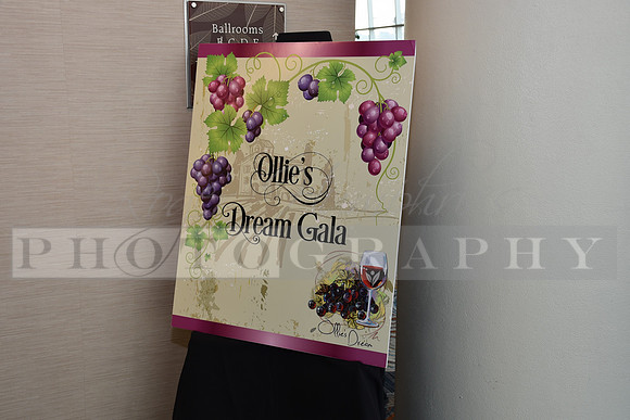 OllieWeb_2019_RHP-015