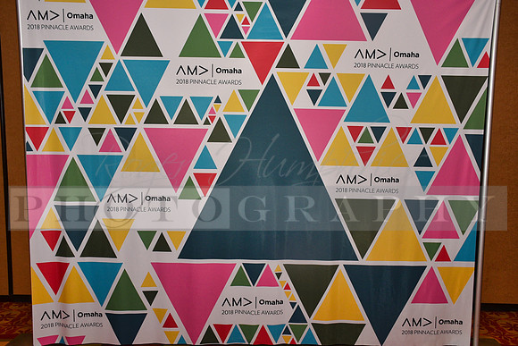 AMAPinnacleAwards_RHP_-051