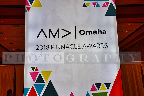 AMAPinnacleAwards_RHP_-027