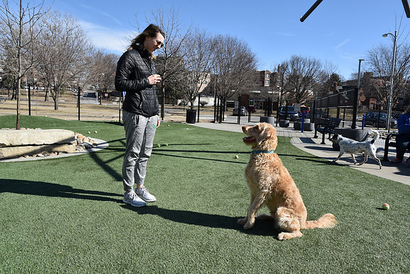 Resize_DogPark_RHPDSC_0197