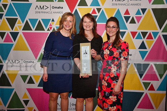 AMAPinnacleAwards_RHP_-244