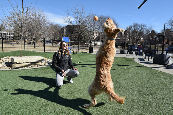 Resize_DogPark_RHPDSC_0221