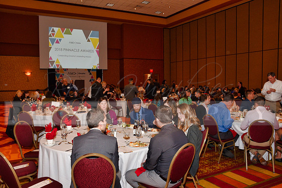 AMAPinnacleAwards_RHP_-092