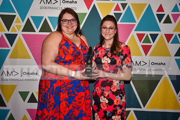 AMAPinnacleAwards_RHP_-110