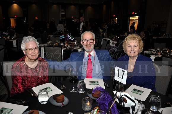 DOI2019GALA_JHP_19
