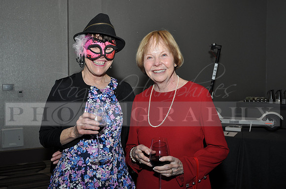 DOI2019GALA_JHP_65