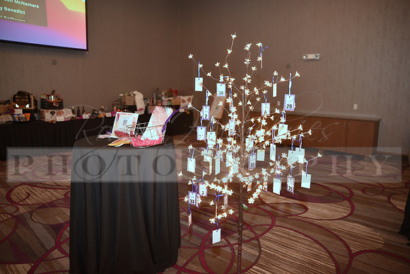 Bellevue_Gala_2021_RHP_0007