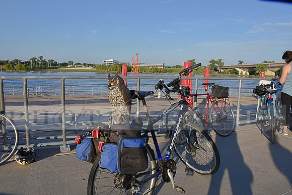 2019_Owl_Ride_RHP_DSC_0059